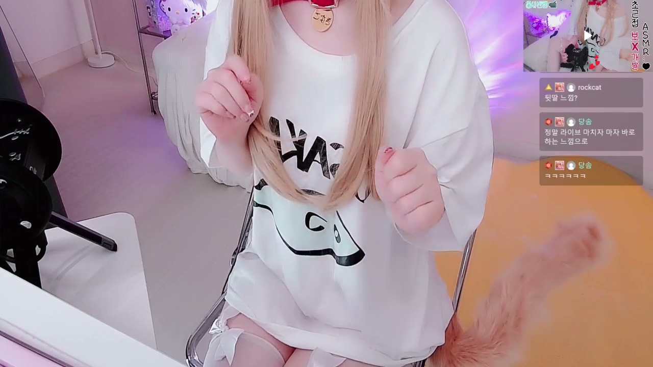 유주 饲养悠悠小猫咪 2.1GB